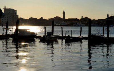Newsletter Agosto 2020